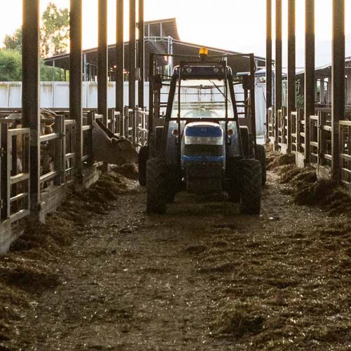 AGRICOLACIRCE-benessereanimale-3