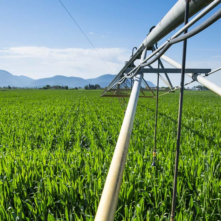 AGRICOLACIRCE-chisiamo-img10