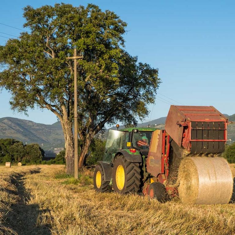 AGRICOLACIRCE-chisiamo-img2