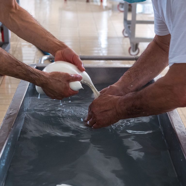 AGRICOLACIRCE-chisiamo-img7