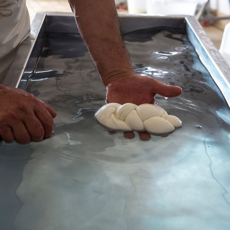 AGRICOLACIRCE-chisiamo-img8