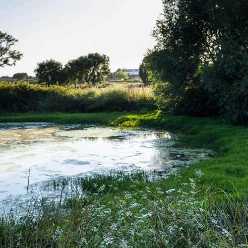 AGRICOLACIRCE-sostenibilita-img15