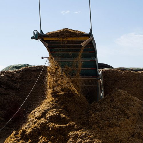 AGRICOLACIRCE-sostenibilita-img16