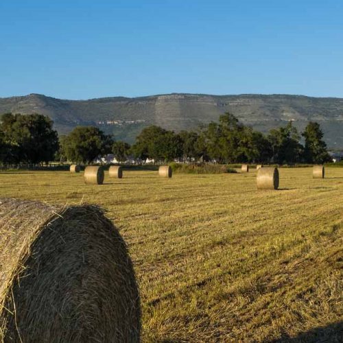 AGRICOLACIRCE-sostenibilita-img4