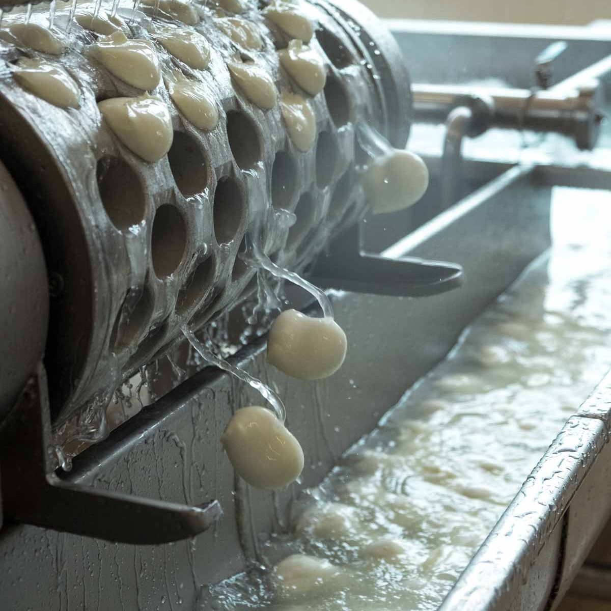 AZIENDA-AGRICOLA-CIRCE-experience