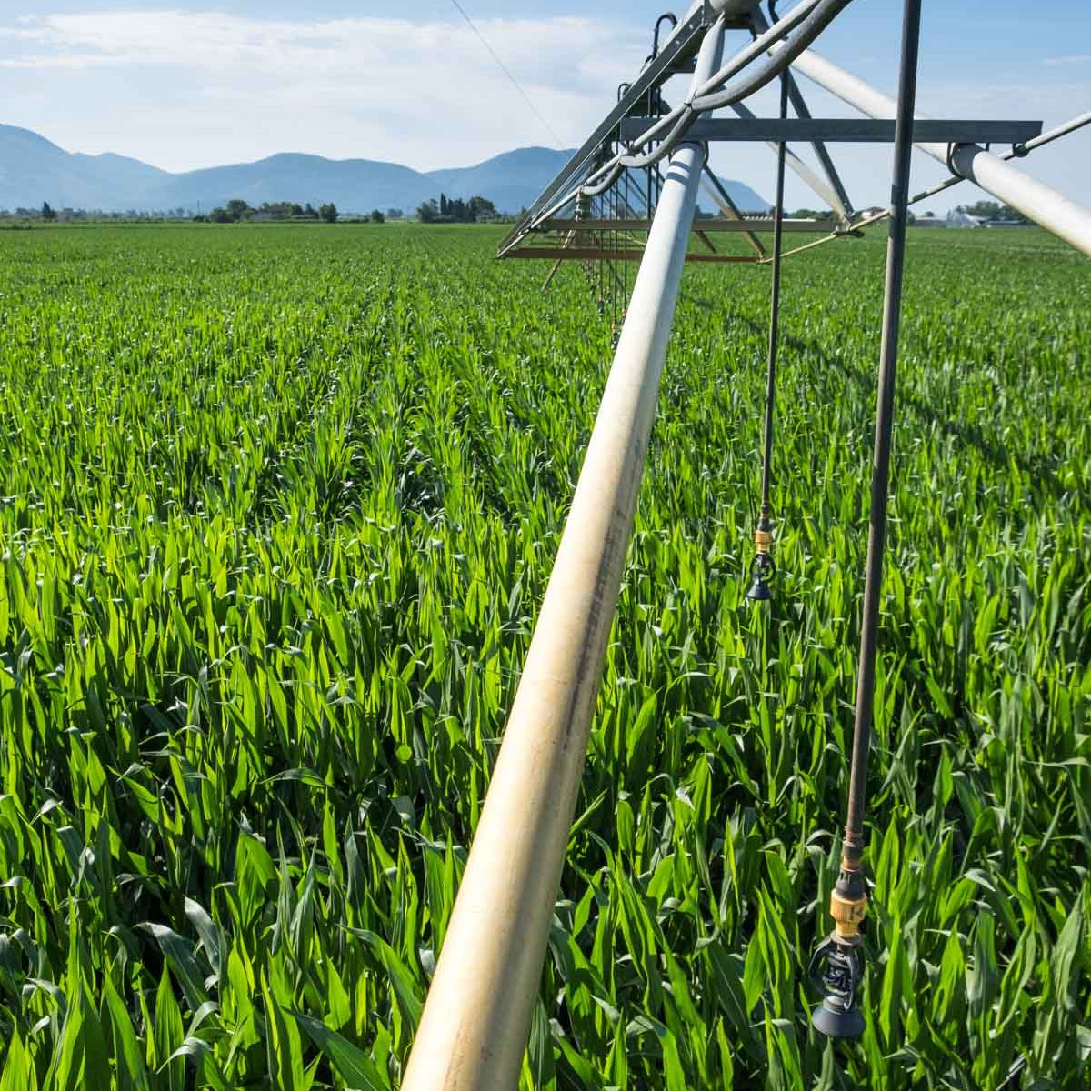 AZIENDA-AGRICOLA-CIRCE-experience-6