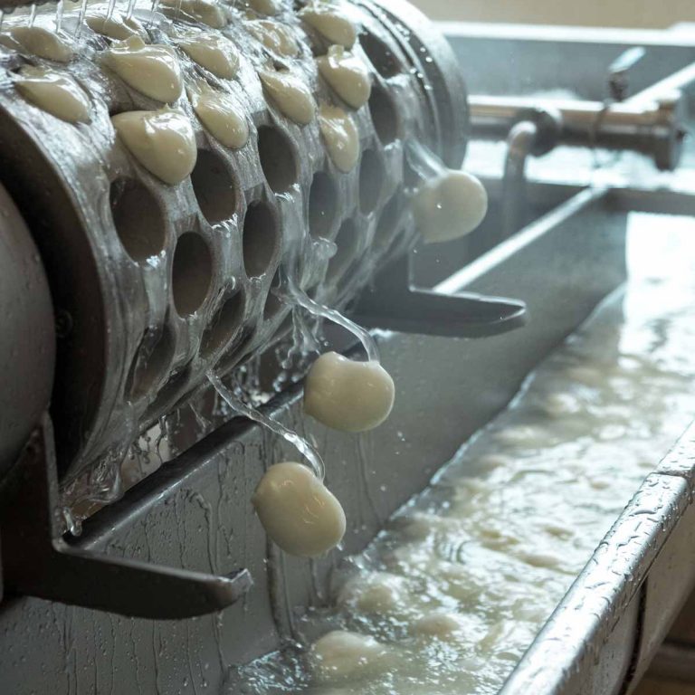 AZIENDA-AGRICOLA-CIRCE-experience