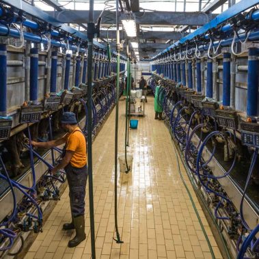 AZIENDA-AGRICOLA-CIRCE-gallery