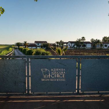 AZIENDA-AGRICOLA-CIRCE-gallery-15