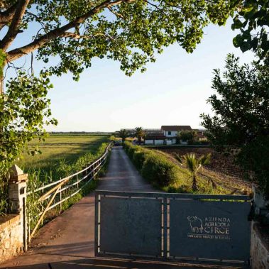 AZIENDA-AGRICOLA-CIRCE-gallery-16