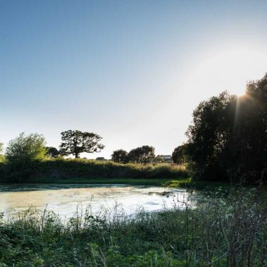 AZIENDA-AGRICOLA-CIRCE-gallery-2