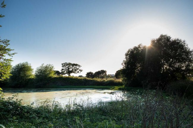 AZIENDA-AGRICOLA-CIRCE-gallery-2