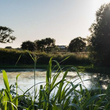 AZIENDA-AGRICOLA-CIRCE-gallery-3