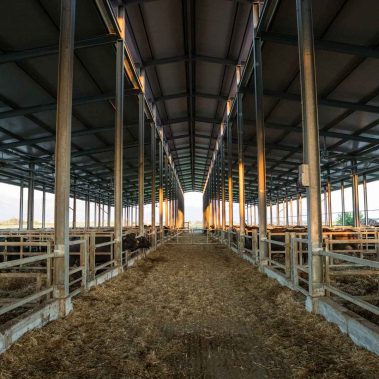 AZIENDA-AGRICOLA-CIRCE-gallery-35