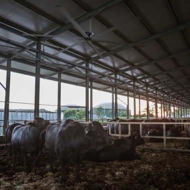 AZIENDA-AGRICOLA-CIRCE-gallery-37