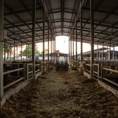 AZIENDA-AGRICOLA-CIRCE-gallery-39