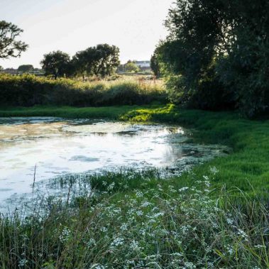 AZIENDA-AGRICOLA-CIRCE-gallery-4