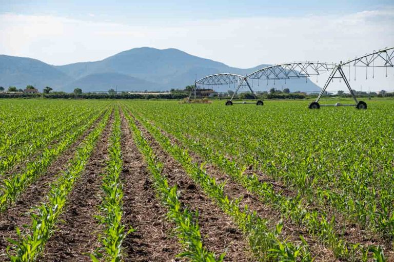 AZIENDA-AGRICOLA-CIRCE-gallery-47