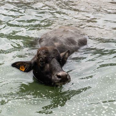 AZIENDA-AGRICOLA-CIRCE-gallery-56