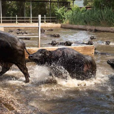 AZIENDA-AGRICOLA-CIRCE-gallery-64