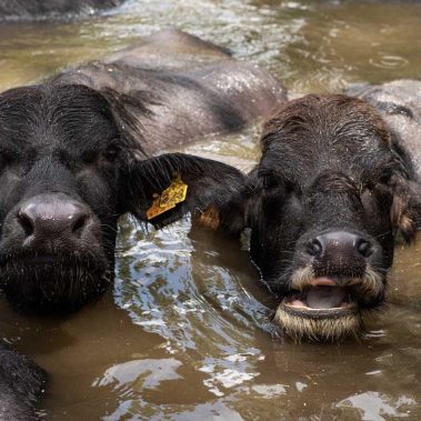 AZIENDA-AGRICOLA-CIRCE-gallery-82