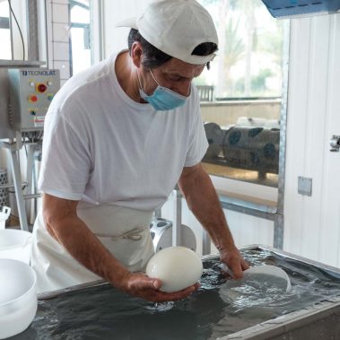 AGRICOLA-CIRCE-gallery