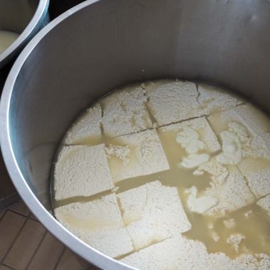 AGRICOLA-CIRCE-gallery