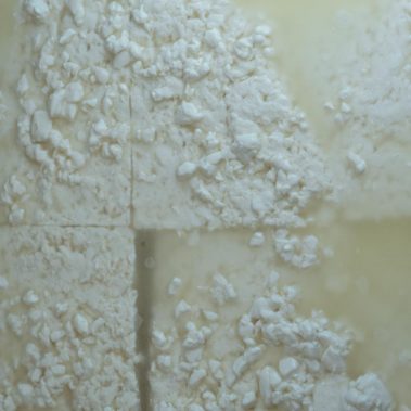 AGRICOLA-CIRCE-gallery