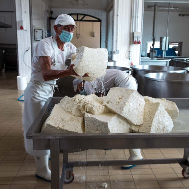 AGRICOLA-CIRCE-gallery