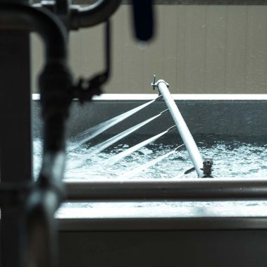 AGRICOLA-CIRCE-gallery