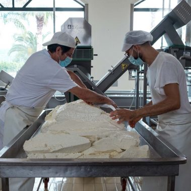 AGRICOLA-CIRCE-gallery