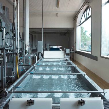 AGRICOLA-CIRCE-gallery