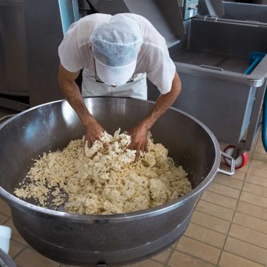 AGRICOLA-CIRCE-gallery