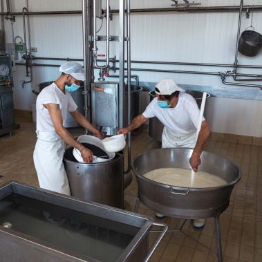 AGRICOLA-CIRCE-gallery