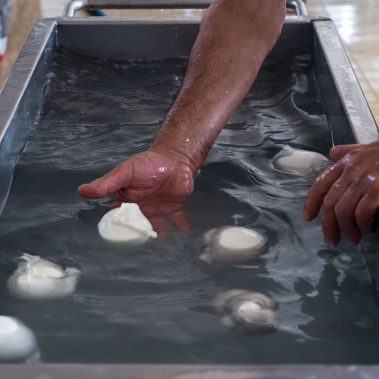 AGRICOLA-CIRCE-gallery