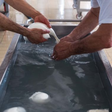 AGRICOLA-CIRCE-gallery