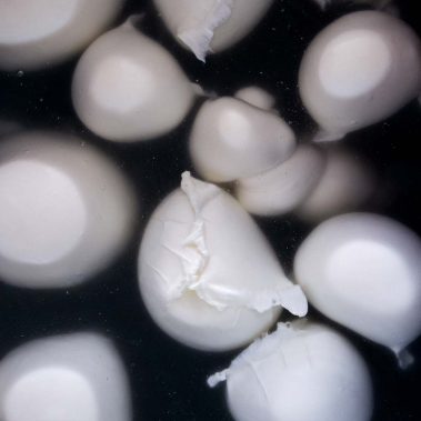 AGRICOLA-CIRCE-gallery