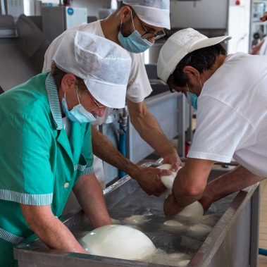 AGRICOLA-CIRCE-gallery