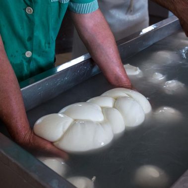 AGRICOLA-CIRCE-gallery