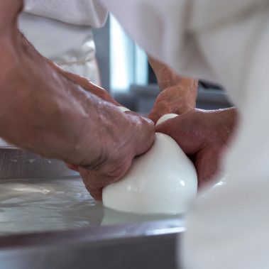 AGRICOLA-CIRCE-gallery