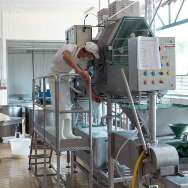 AGRICOLA-CIRCE-gallery