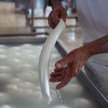 AGRICOLA-CIRCE-gallery