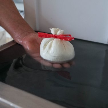 AGRICOLA-CIRCE-gallery