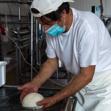 AGRICOLA-CIRCE-gallery