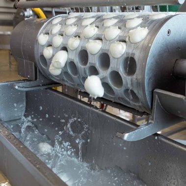 AGRICOLA-CIRCE-gallery