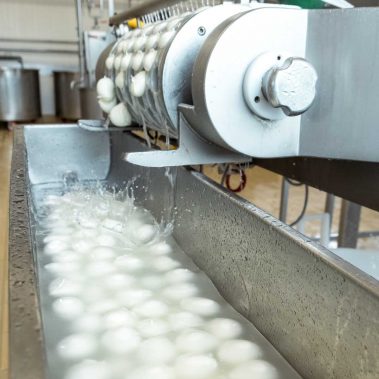 AGRICOLA-CIRCE-gallery