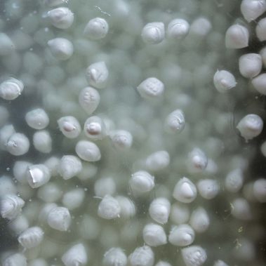 AGRICOLA-CIRCE-gallery