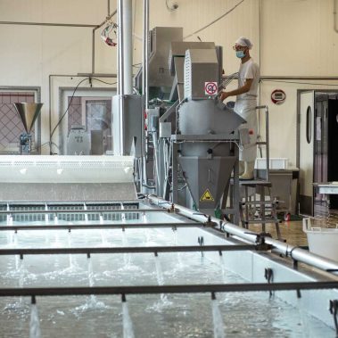 AGRICOLA-CIRCE-gallery