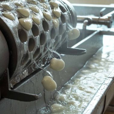 AGRICOLA-CIRCE-gallery