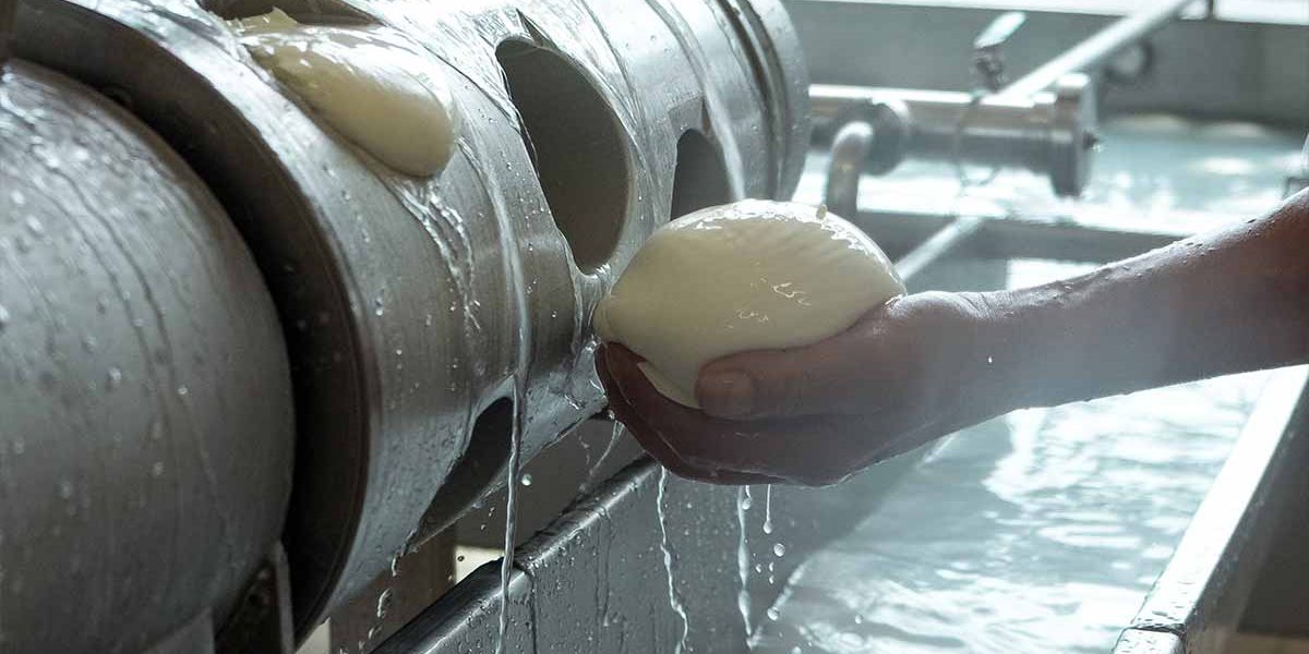 AGRICOLACIRCE-articolo-29-08-2023-1